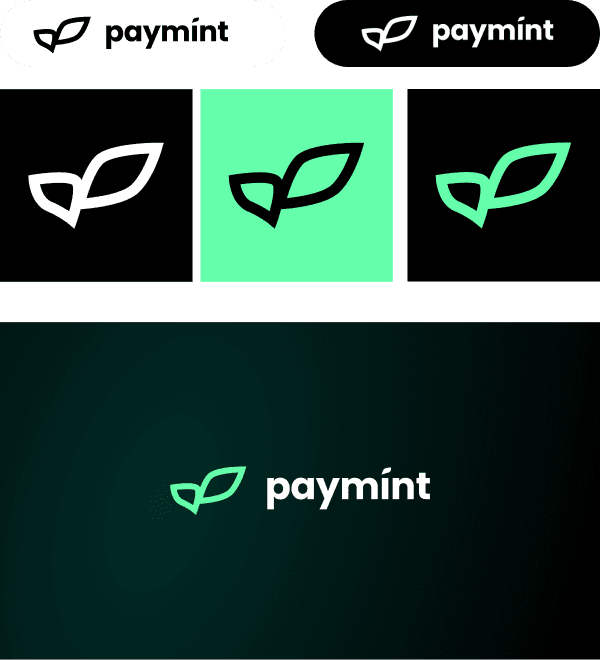 paymint logo