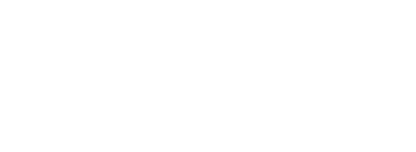 paymint typography